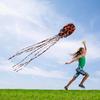 (Projector)Large  Long Tail Beach Kites-Perfect Toy for Kids and Adults Outdoor Game