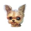 Cartoonish Cute Animal Patterns Digital Printing Short Plush Pillow Covers For Car Sofa Office Cushion Cover Home Goods