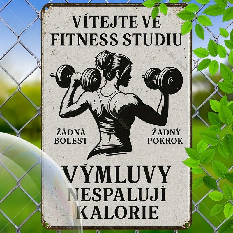 Gym Motivation Metal Tin Sign Fitness Weightlifting Dumbbell Wall Art Decor Home Gym Garage Man Cave Poster Painting