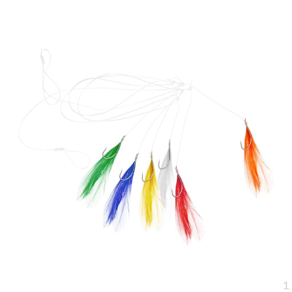 Baits Rigs Hooks for Bass Perch Carp