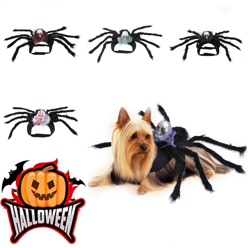 Cute Pet Spider Costume For Halloween Party