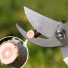 Heavy Duty Pruning Shears Garden Scissors Stainless Steel Bypass Pruner for Trees, Flowers, Bonsai and Gardening Use