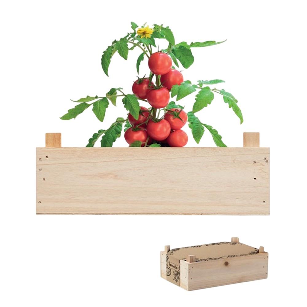 MidOcean Tomato Wooden Kit Seeds
