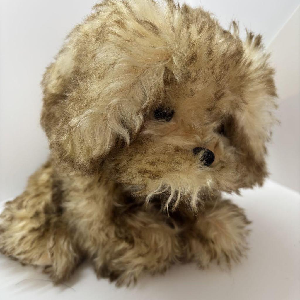 [USED] Teddy bear dog stuffed toy
