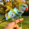 Bird Travel Carrier Portable Escape Resistant Parrot Sling Tote Travel Bird Carrier for Cockatiel Conure Hiking Outdoor Walks