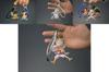 Trendy One Piece Nika Luffy Collectible Bobblehead Toy 7cm Guangdong