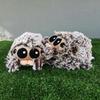 The Lucas Spider Plush Toy Cute Soft Stuffed Animal Doll Kid 20cm Xmas Gift Toys