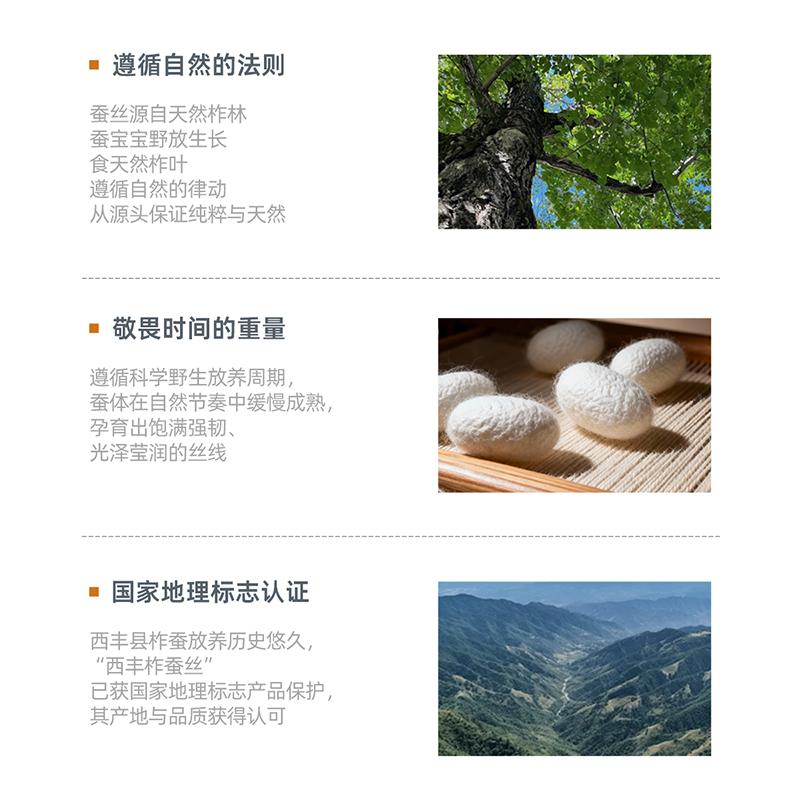 Mengjie Home Textile Class A Antibacterial 100% Silk Quilt
