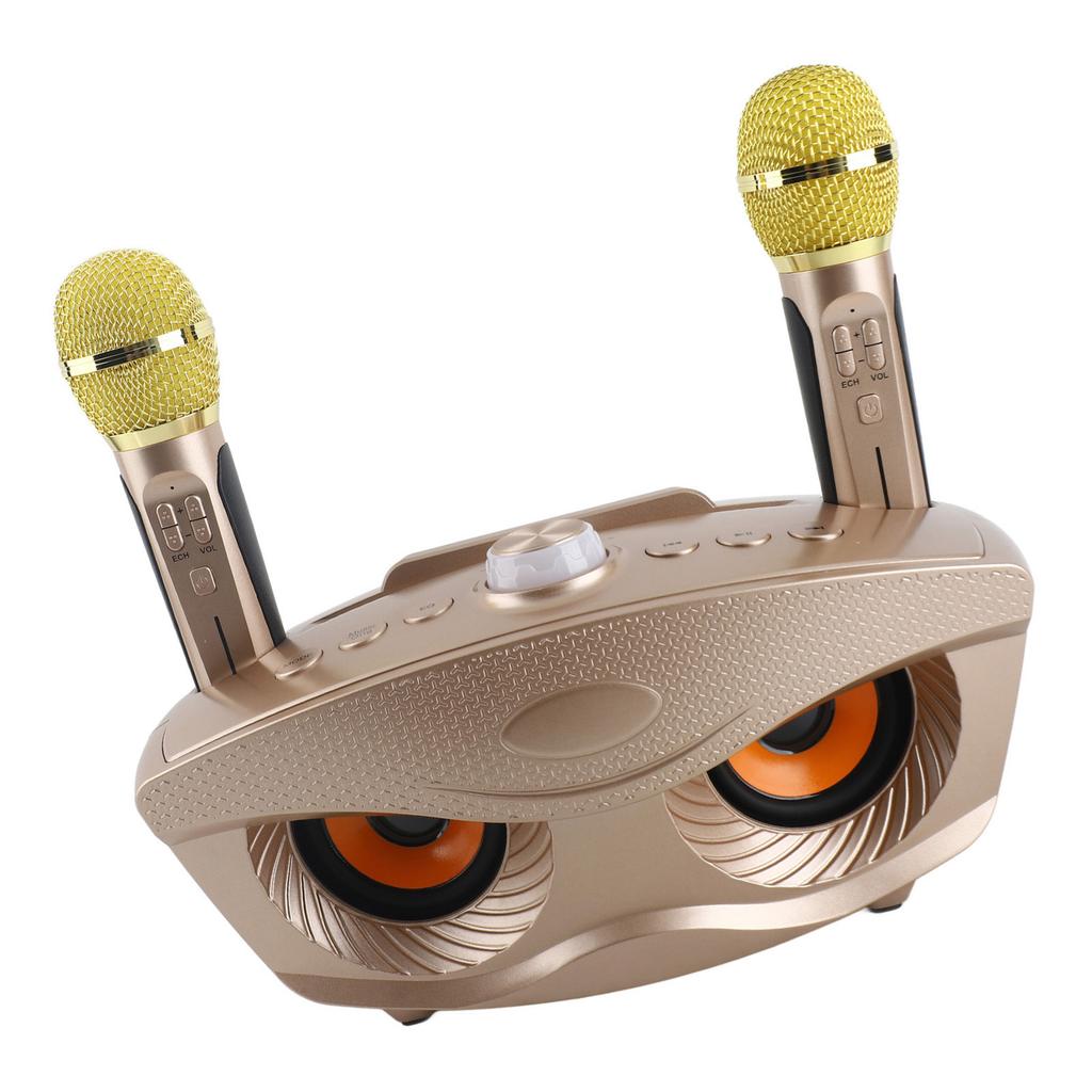 Speaker Home KTV Karaoke   Speaker with Two Microphone (Black)