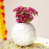 Metal Ball Vase for Home Decor|Round Flower Pot for Bedroom Living Room Office Wedding| | Best Gift |