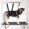 D-Rings For Grooming Table Collar Pet Supplies Dog Traction Belt Pet Loop Lock Dog Grooming Rope