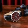 Fossil Men's Silver Stainless Steel, Burgundy Dial l FS6016