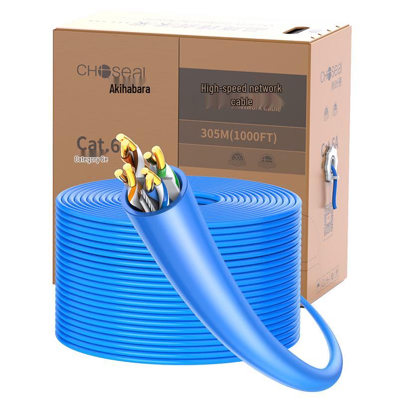 Choseal Cat6A 10 Gigabit Ethernet Cable