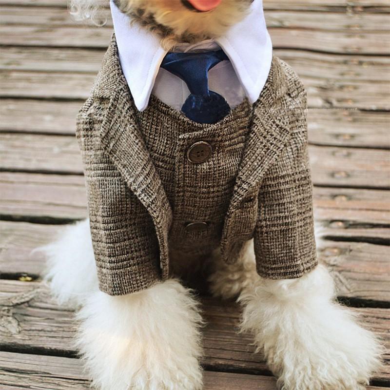 Pet Formal Vest Suit Set Small Dogs Cats Schnauzer French Bulldog Stylish Gentleman Outfit