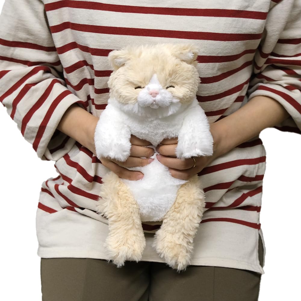SunLemon Sleeping Lap S 15 x 18 x Plush Cute Cat, CR, 34cm, Animal, Cat, Cream, P-1383