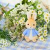 Sekiguchi Peter Rabbit Plush Mascot Peter Collection