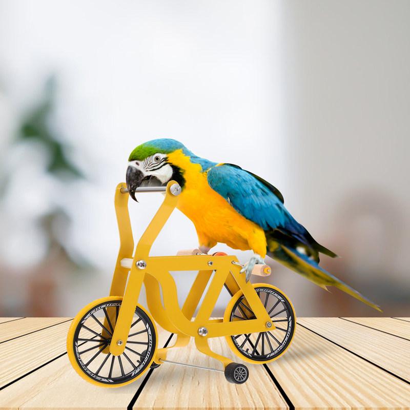 Parrot Bike Training Educational Bright Colorful