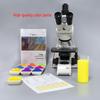 Eco-friendly Water-based Fluorescent Color Paste for DIY Gypsum Aroma Craft Models