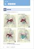 How to write a CT image reading report? - Basic knowledge of anatomy and findings, and examples of reports for common diseases