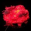 Starlight LED Fairy String Lights for Outdoor Christmas Wedding Holiday Decoration