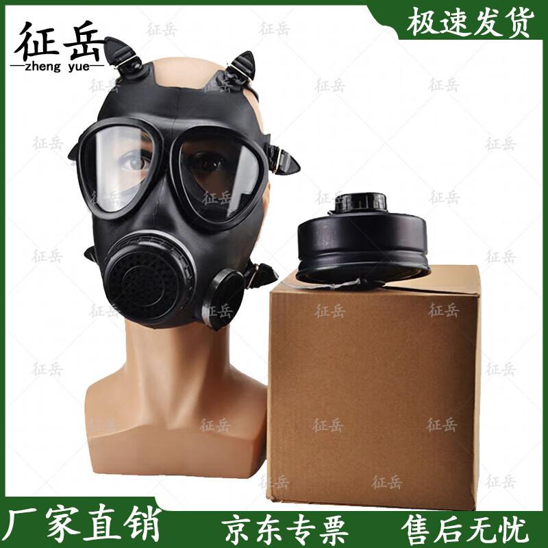Zhengyue FMJ05 Full-Face Respirator