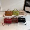 Frosted Fashion Niche Solid Color Simple Box Bag 2025 Autumn New Trendy Versatile Handbag Commuting Crossbody Bag