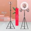 Multifunctional Floor-Standing Phone Tripod with Fill Light for Live Streaming and Beauty Enhancement