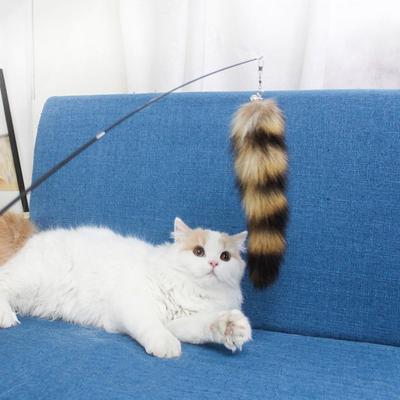 Interactive Cat Feather Toys Cat Wand Toy Feathers Teaser for Indoor Cats Kitten Playing Chasing Exercise