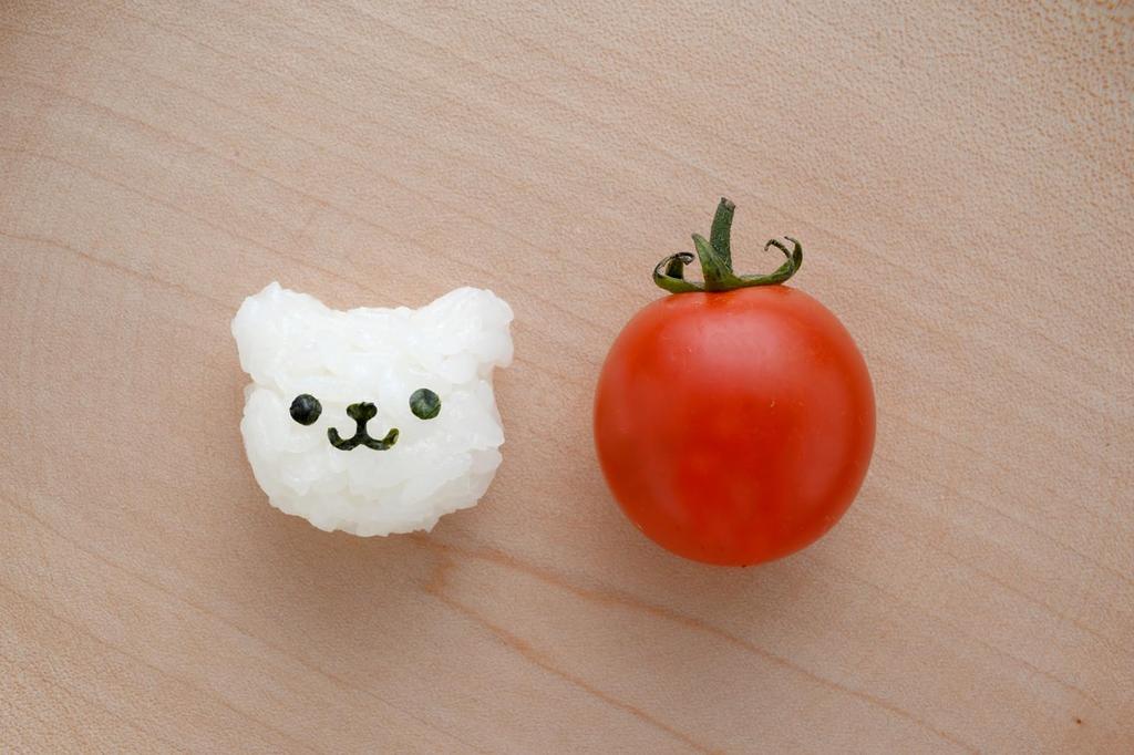 Ernest Deco Curry Animal Curry Decoration A Brand Favored by Major Restaurants (Rice Mold) (My Form, Aaah, Nom) - A-76924