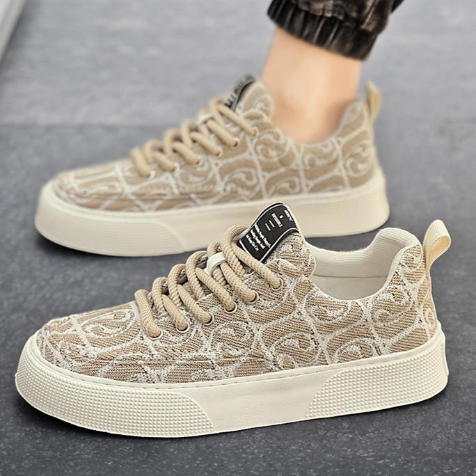 Canvas Shoes Men's Low Top Summer 2025 New Item Niche Low Top Printed Board Shoes Men's Thick Soled Sports and Leisure Trendy Shoes
