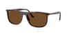 Sunglasses 0RB2216F HAVANA POLAR BROWN Asian Fit Polarized [Ray-Ban] 902/5758