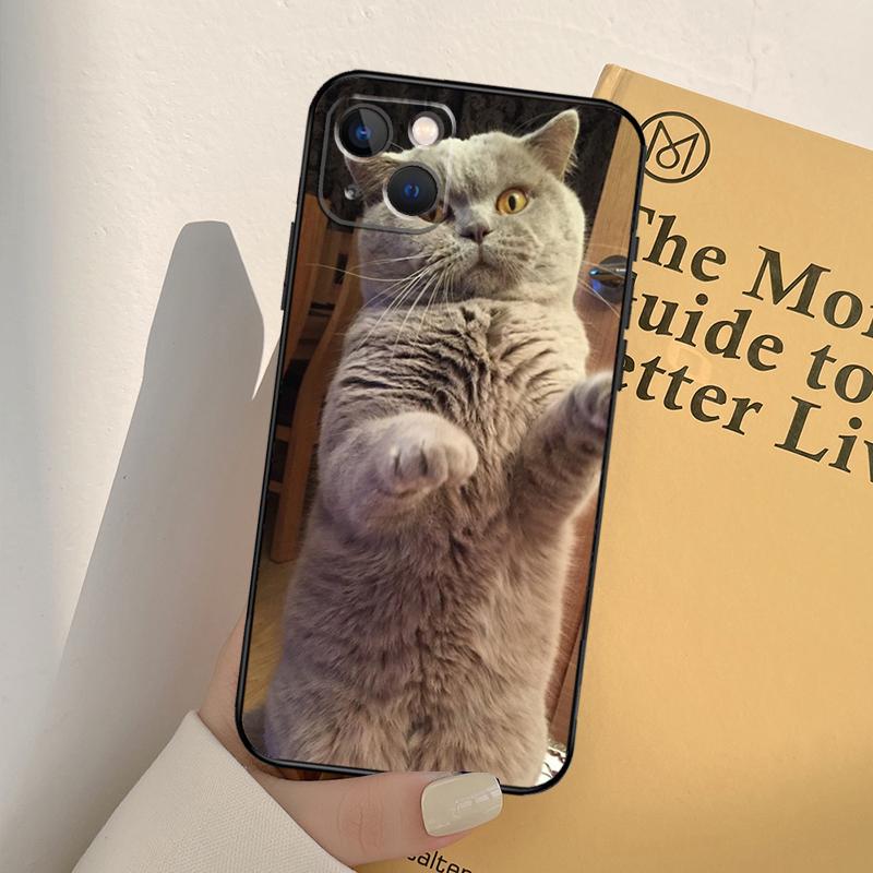 British Shorthair Cat Phone Case For iPhone 17 16 15 14 11 12 13 Pro Max Mini XR 16e 15 16 Plus 17 Air Full Cover