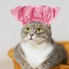 Balacoo Helmet Elastic Sphynx Indoor Cat Puppy Bath Pets Dogs Easter Ears Turban Household with Accessories Cap Wash Hat Band Ear Shower Adjustable