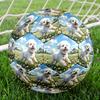 1pc Daisy Field Pup Theme Soccer Ball Football, Size 5, Lightweight PVC, Durable Outdoor Training Soccer Ball, Gift M61485