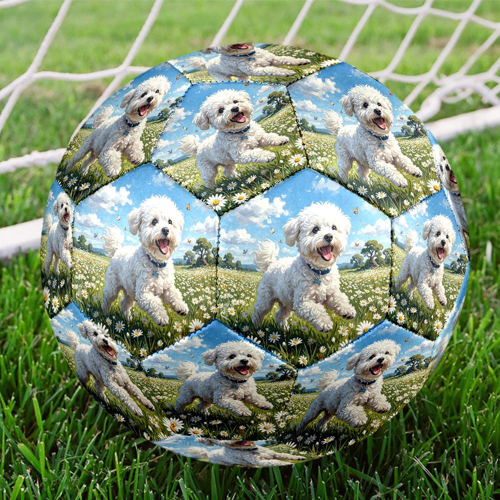1pc Daisy Field Pup Theme Soccer Ball Football, Size 5, Lightweight PVC, Durable Outdoor Training Soccer Ball, Gift M61485