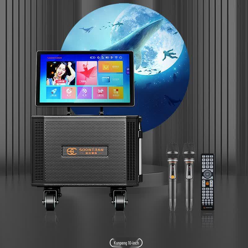Portable Outdoor Karaoke KTV Speaker System (CN Version)