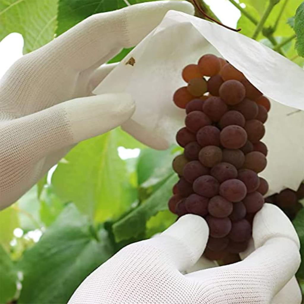 HIRAISM Work 12 Set Gloves, Anti-Static, Anti-Slip, Fingertips, Coated, White, Pairs, 24-Piece (Small)