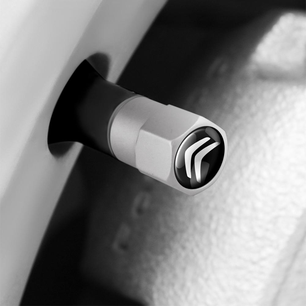 För Citroen C1 C2 Grand C4 Picasso C4L VTS C-ELYSEE DS Aluminium Metall Bil Däckventilskydd Bilmärke Nylon Nyckelring Tillbehör