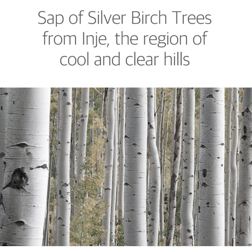 ROUND LAB Birch Juice Moisturizing Sunscreen 50ml SPF 50+ PA++++