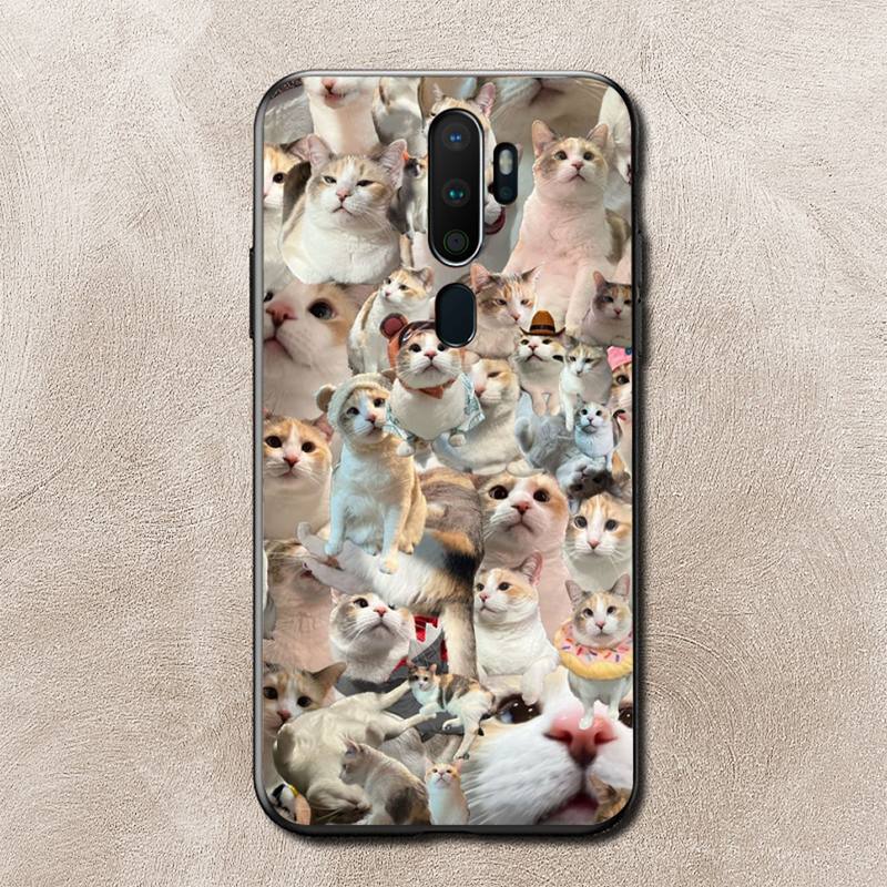 Coque de téléphone Mèmes de chat pour Vivo Y91C Y11 17 19 17 67 81 Oppo A9 2020 Realme c3
