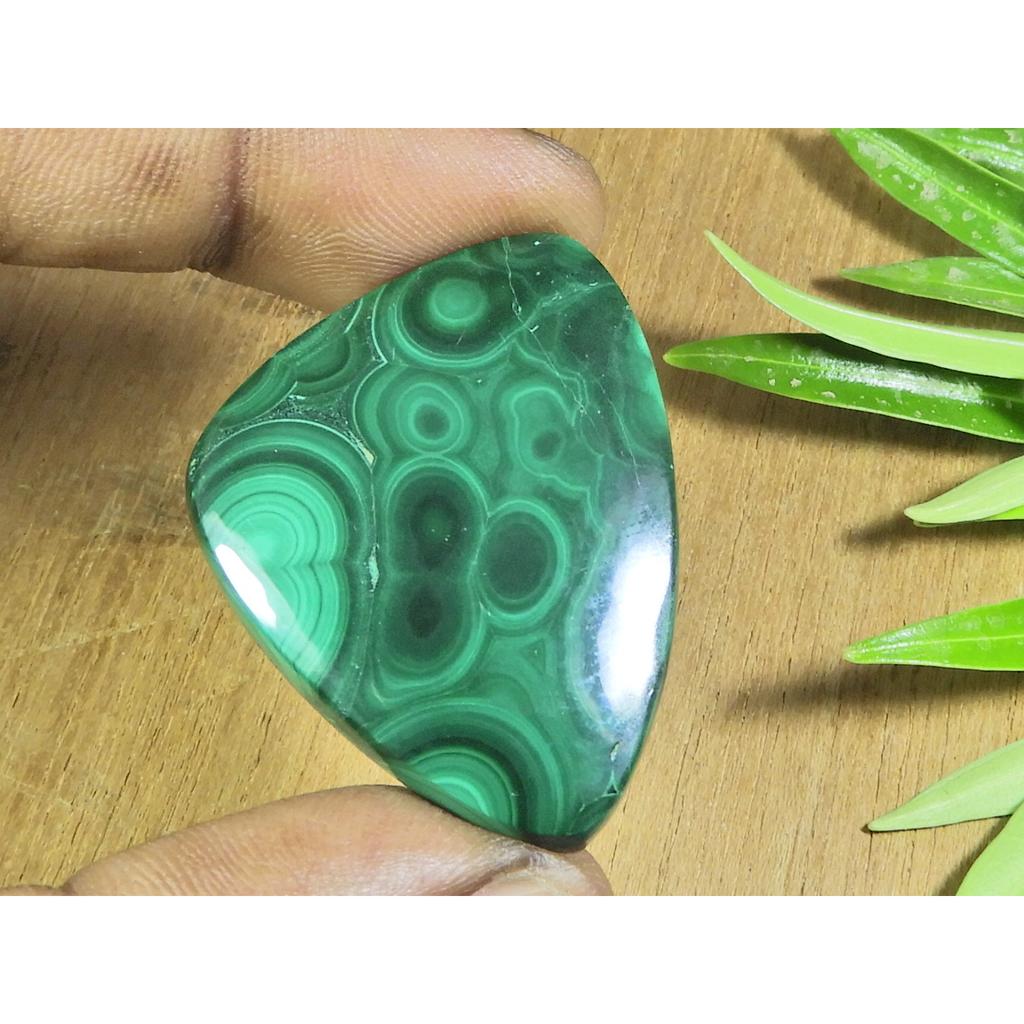 30X38X05MM Natural Green Malachite Fancy Cabochon Loose Gemstone 74Cts. B-140