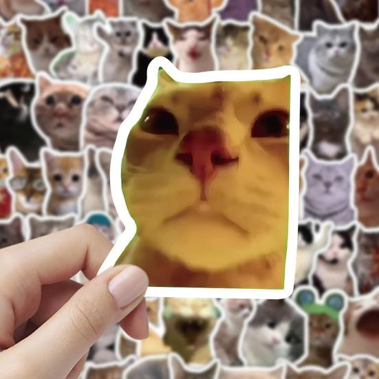 100 Pcs Cute Cat Stickers for Kids Boys Girls Waterproof Cat Meme Decals for Laptop Skateboard Luggage Car Bumper Water Bottle Decor