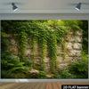 2D Fantasy Mondbeleuchtete Höhle Kulisse, Wald Wasserfall Natur Landschaft Party Banner