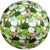 Sarah & Duck Theme Size 5 Soccer Ball, Suitable for Both Indoor and Outdoor Matches, a Gift Suitable for Everyone.