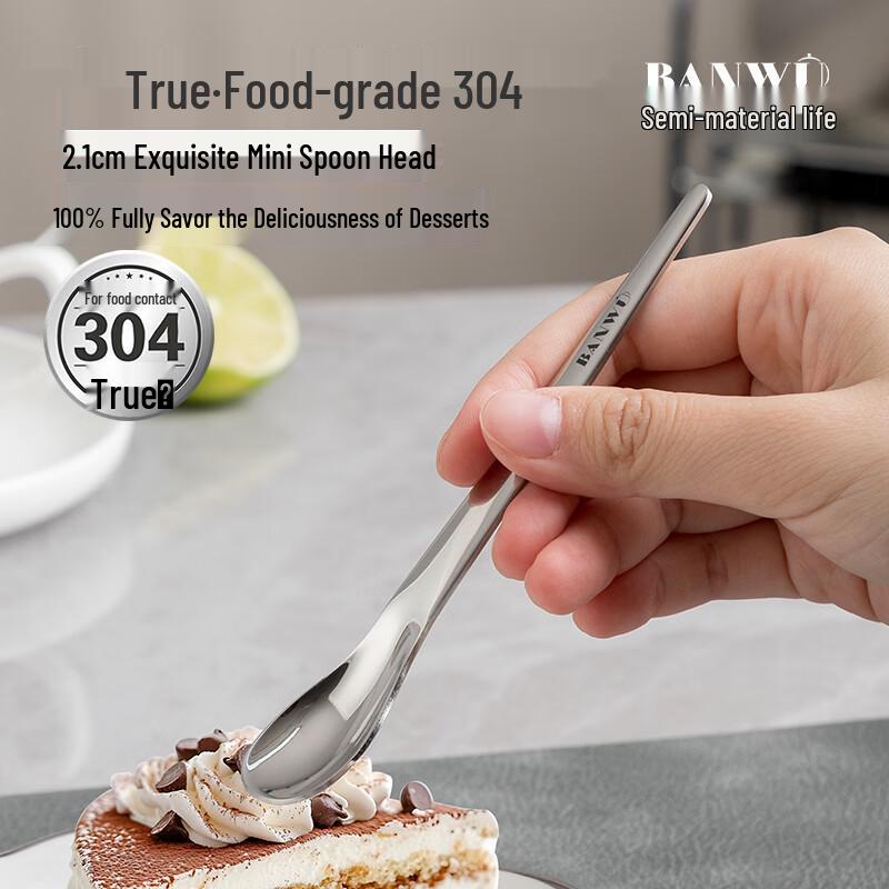Banwu Life 304 Stainless Steel Dessert & Ice Cream Spoon