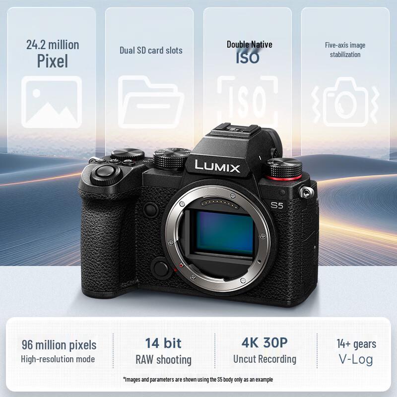 Panasonic Lumix S5 Full-Frame Mirrorless Camera (CN version)