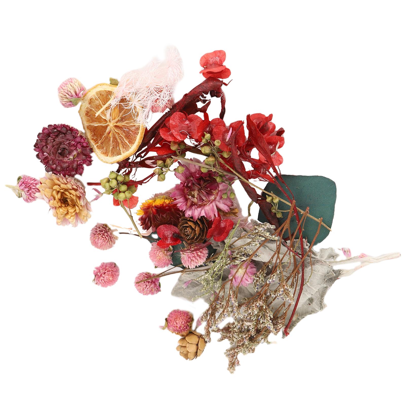 

2 упаковки сушеных цветов, красочные цветочные, натуральной воздушной сушки, для составления букетов, декоративные материалы