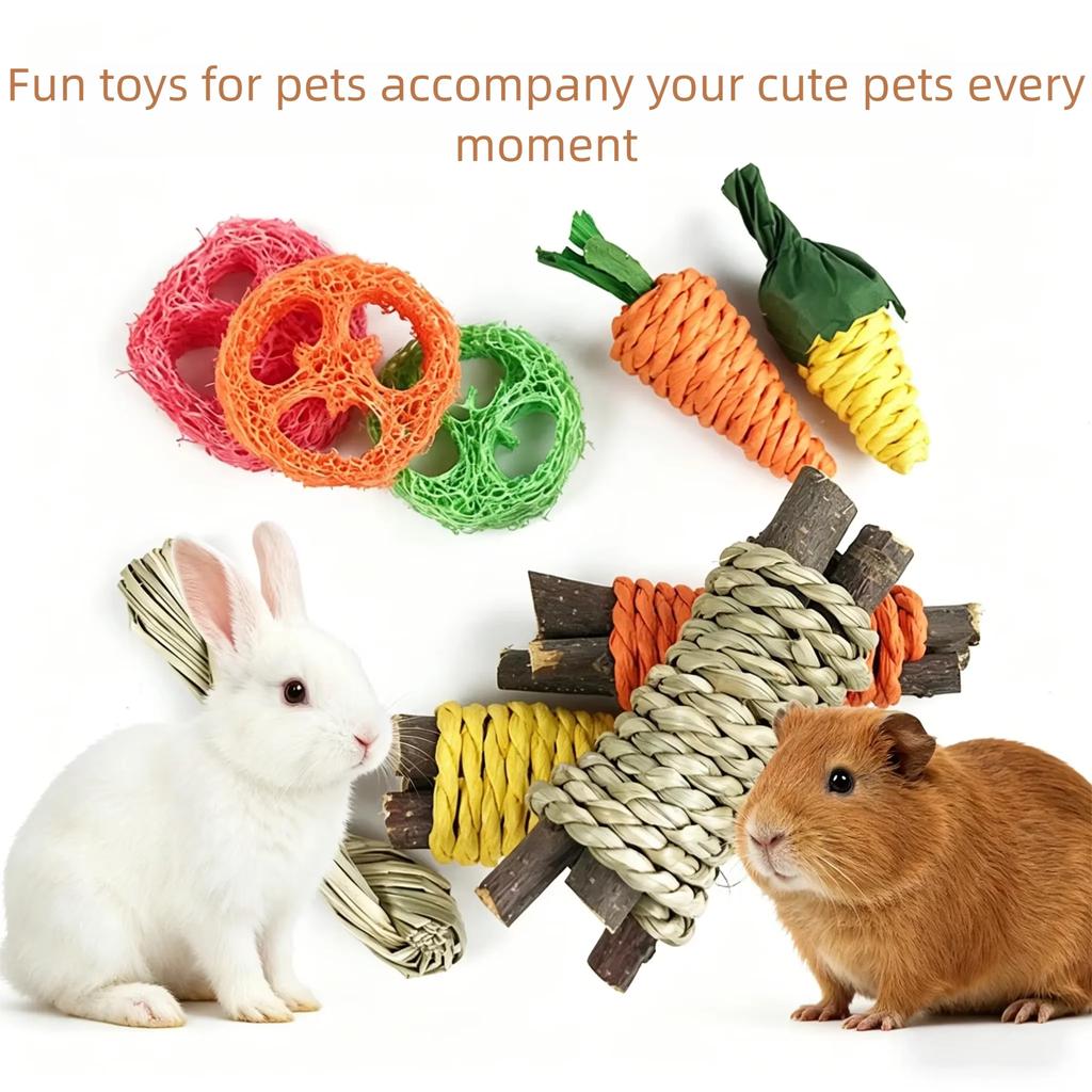 Pet Rabbit Guinea Pig Dragon Cat Fun Toy Hamster Rabbit Rabbit Tooth Grinding Set Pet Tooth Grinding Snacks XCWJ112