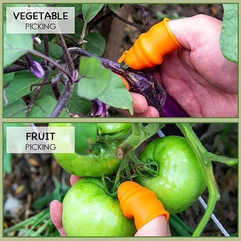 Picking Vegetable Thumb Knife Picking Pepper Bean Angle Iron Nail Picking Vegetable Picking Agricultural Picking Magic Tool