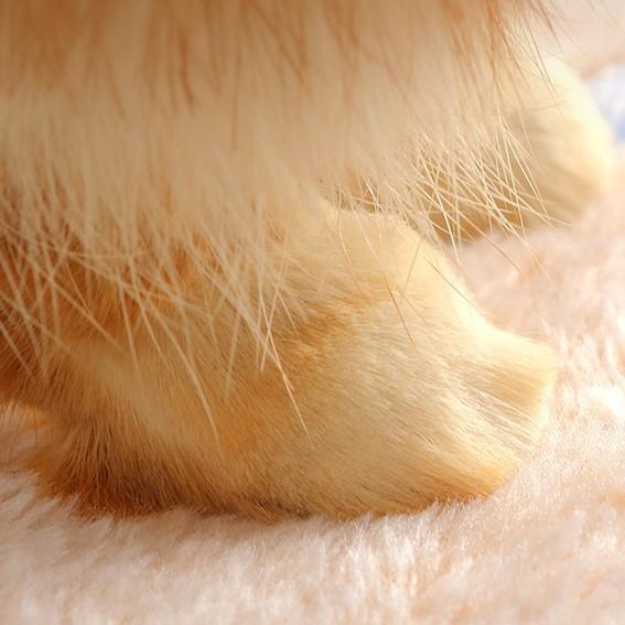 Pet Blanket Suitable for All Seasons, Made of Coral Fleece, Soft and Non-shedding, Double-sided Fleece, Comfortable Pet Mat